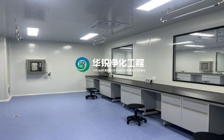 嚴守國標規(guī)范！華銳凈化標準化建設西部醫(yī)療實驗室
